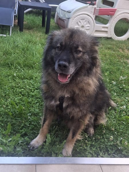 Helios