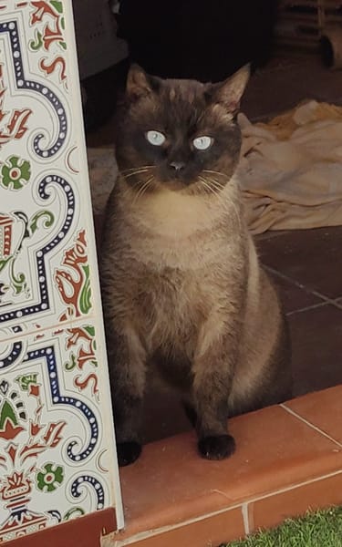 HERCO