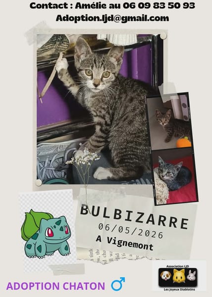 Bulbizarre