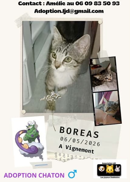 Boreas