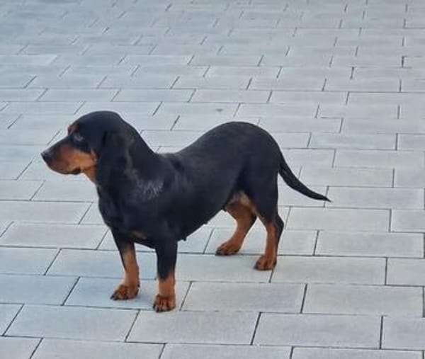 Carla sucht ihre Herzensmenschen ❤