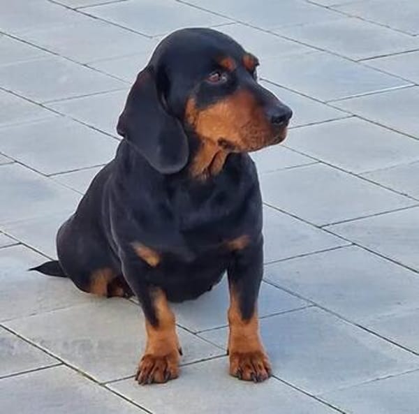Carla sucht ihre Herzensmenschen ❤