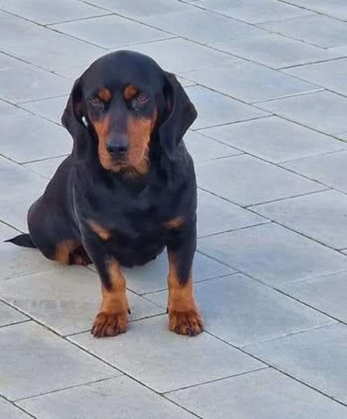 Carla sucht ihre Herzensmenschen ❤