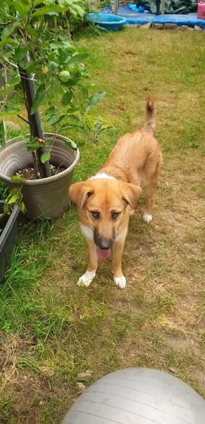 Die Zauberhaft tolle Bianca liebt Kinder