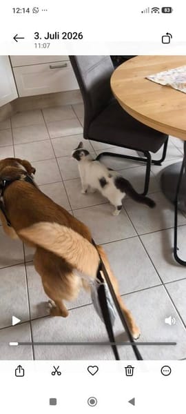 Die Zauberhaft tolle Bianca liebt Kinder