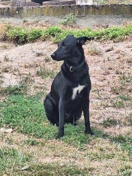 💙Dario💙 sucht seine Familie