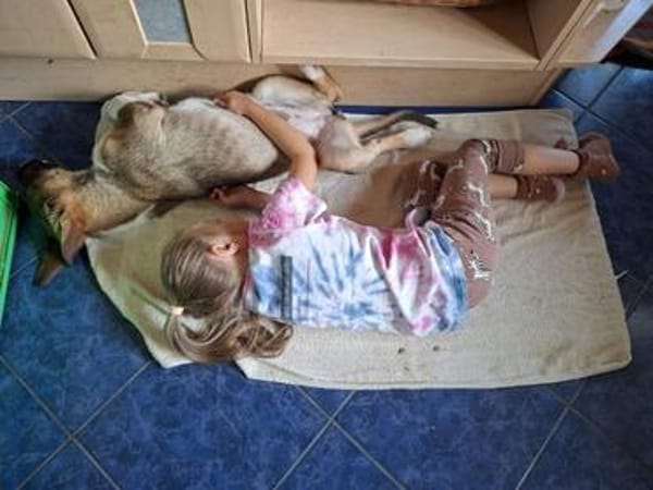 Dafne - kinderfreundlich, kreativ, lustig- wartet in Hofheim