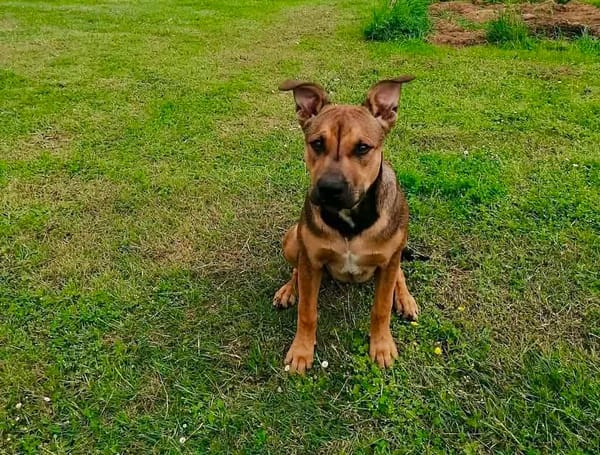 Ragnar