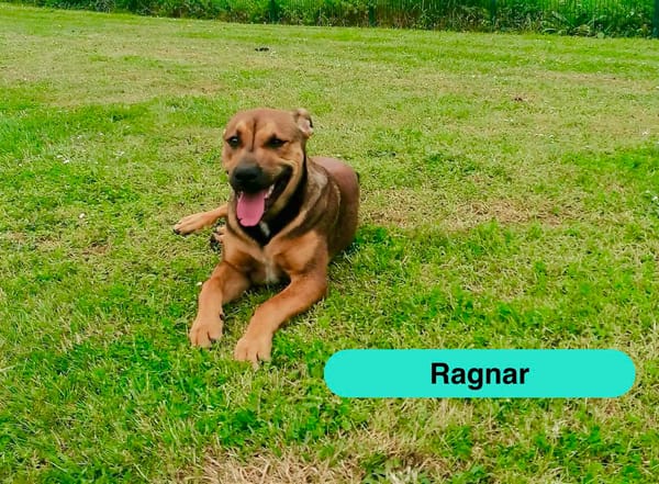Ragnar