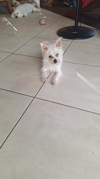 Molly, je suis joyeuse et tendre