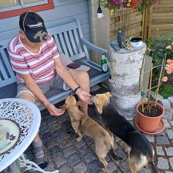 kleine süße junge Ricka auf PS in 91154
