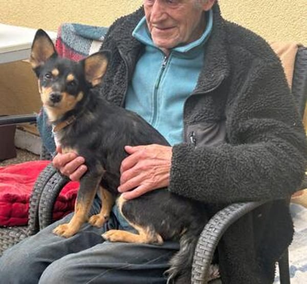 DADKA, Mix, geb. 07/2025