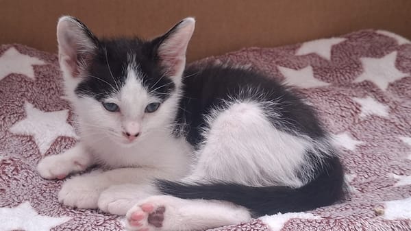 BOUNTY A trouvé sa famille