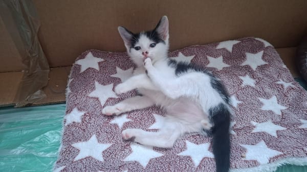 BOUNTY A trouvé sa famille