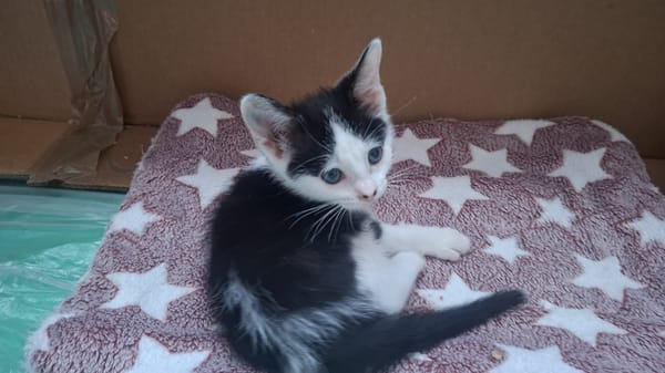 BOUNTY A trouvé sa famille