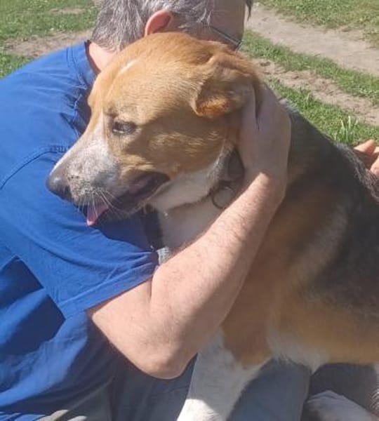Buddy  sucht Happy-Home