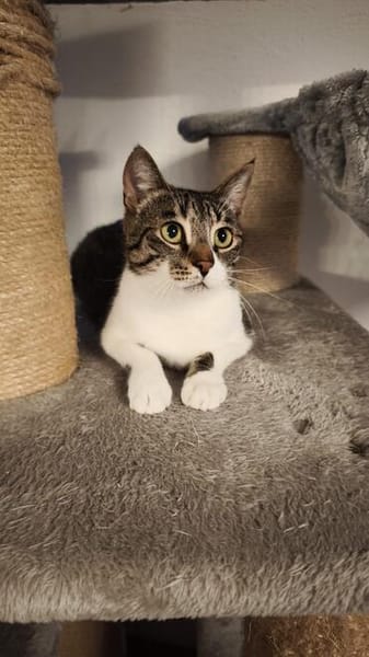 Die Brüder Tito und Toto Fiv+, unser DreamTeam