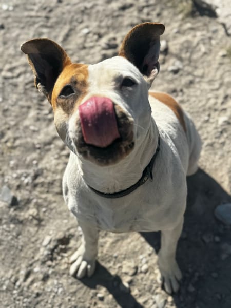 Milly