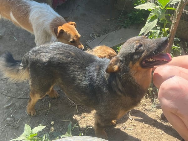 Lennon