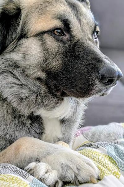 Kai - Vom Karton auf die Couch