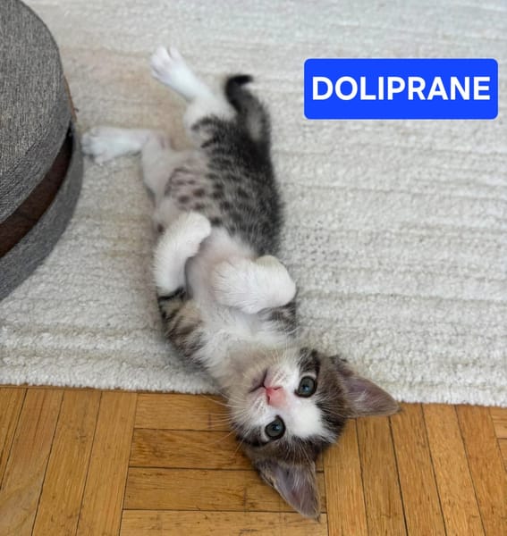 IBUPROFENE ET DOLIPRANE À ADOPTER ENSEMBLE
