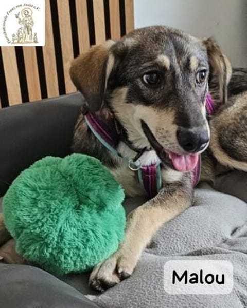 Malou  groß werden kann jeder...