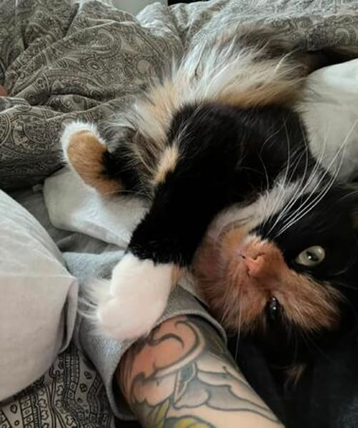 Sonja