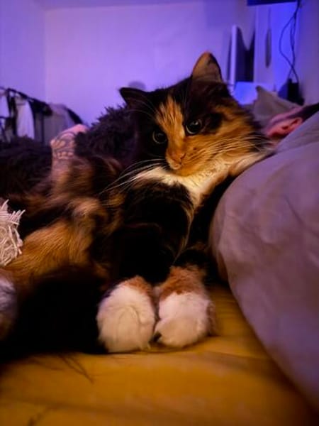 Sonja