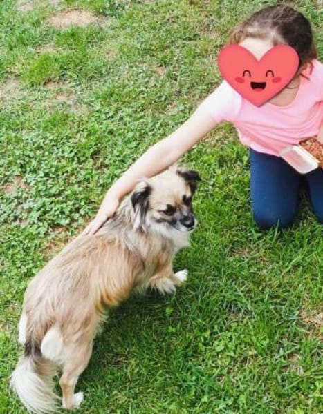 kleine süße Coco auf PS in 91353