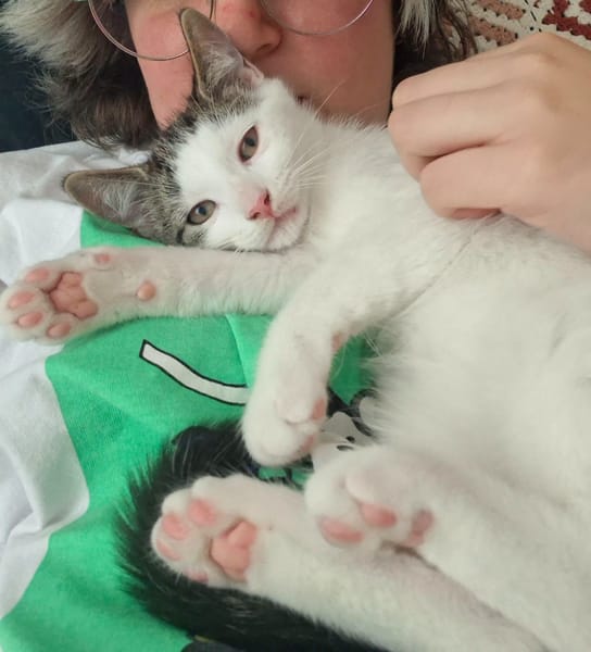 Figaro et Gédéon