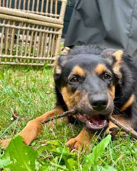 MAIKA  In Bochum, sucht ihr eigenes Zuhause