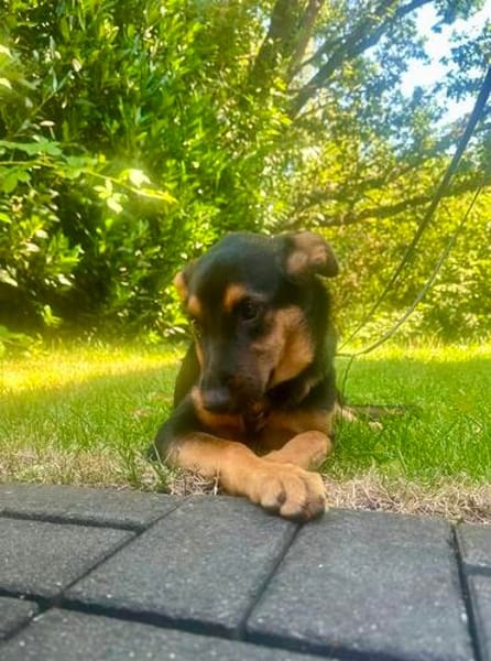 MAIKA  In Bochum, sucht ihr eigenes Zuhause