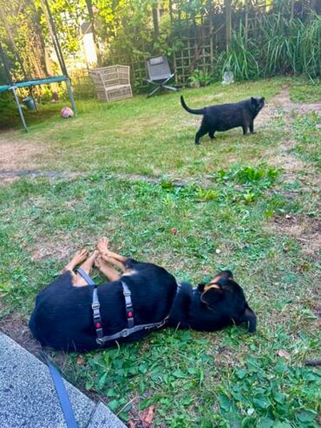 MAIKA  In Bochum, sucht ihr eigenes Zuhause