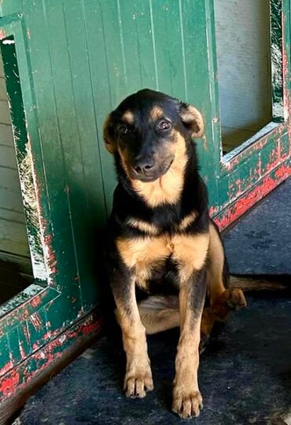 MAIKA  In Bochum, sucht ihr eigenes Zuhause