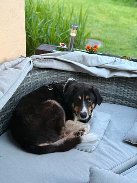 Cody sucht seine Familie