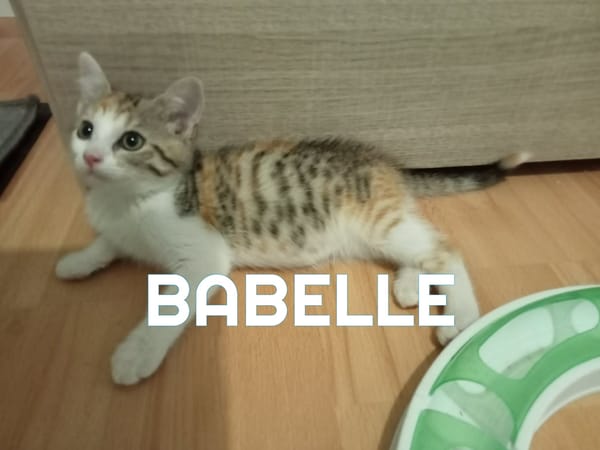 BABELLE