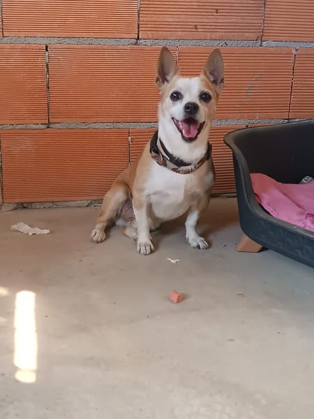 ATUN