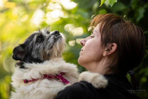 Lana eine liebevolle Terrier-Mix-Hündin