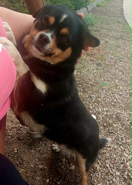 Evita sucht Kuschelpartner