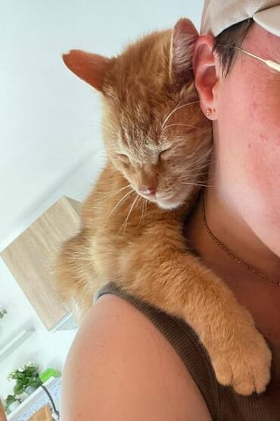 Charly sucht dringend Pflegestelle- oder Endstelle