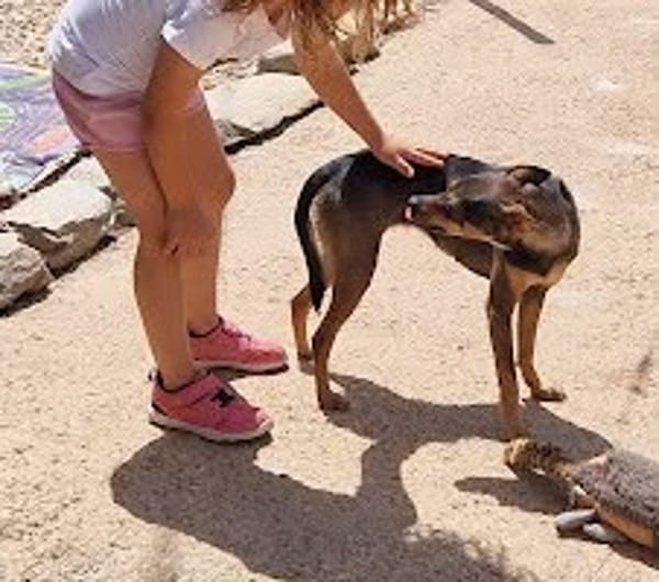 CHICA (Martina)