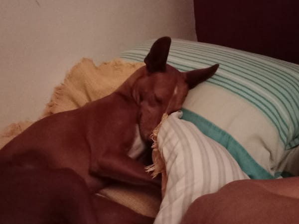 RUBY (Martina)