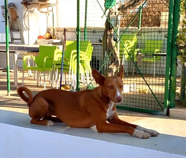 RUBY (Martina)