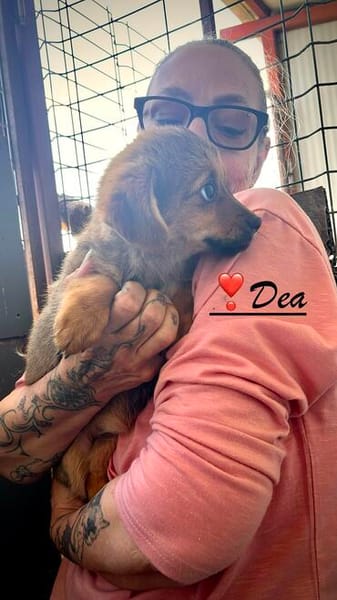 Dea, eins von 5 ganz bezaubernden Girls