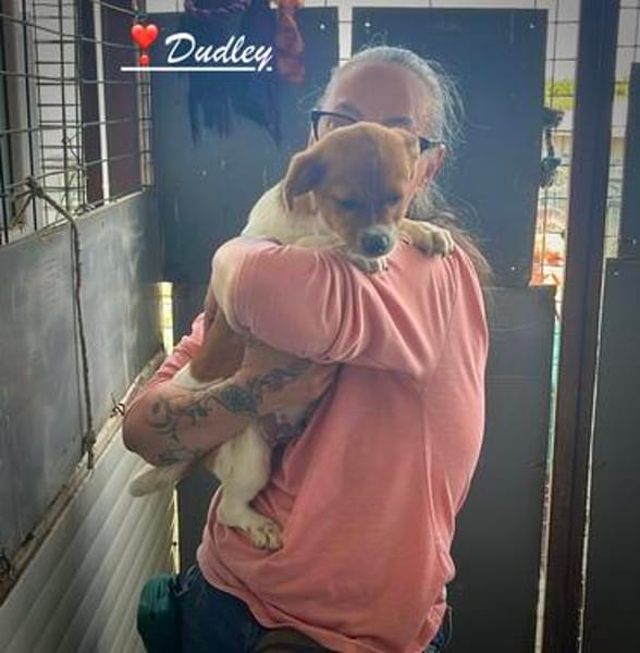 Dudley, der Hahn im 6er Körbchen