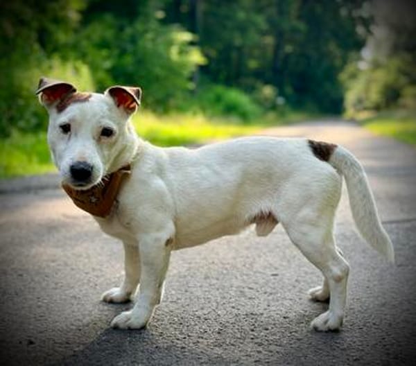 Sportpartner gesucht :)