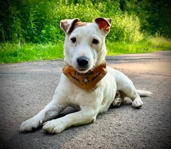 Sportpartner gesucht :)
