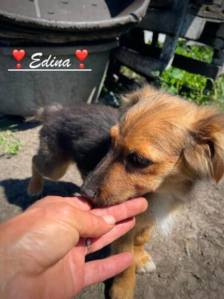Püppchen Edina
