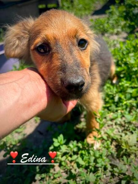 Püppchen Edina