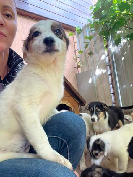 MURPHY wartet auf sein großes Glück